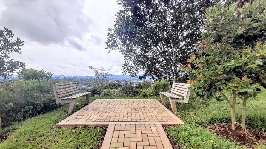 Lote en venta en El Carmen de Viboral, 3024 m² · foto 8 de 9