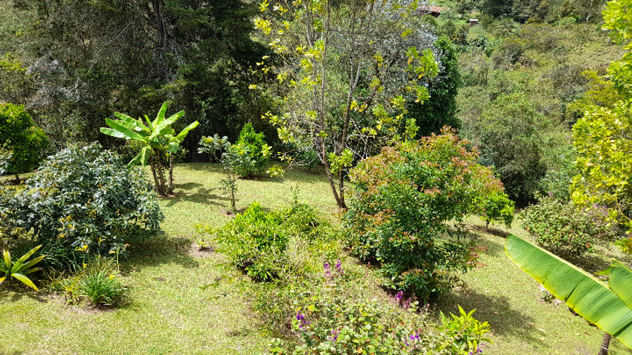 Finca en venta en Alcaravanes, Marinilla, 379 m² · foto 22 de 22