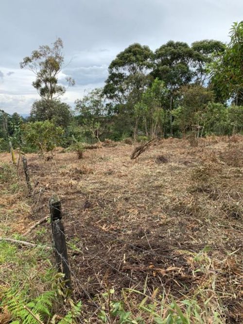 Lote en venta en El Porvenir, Rionegro, 9258 m² · foto 2 de 6