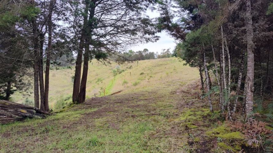 Lote en venta en La Brizuela, Guarne, 14700 m² · foto 5 de 10