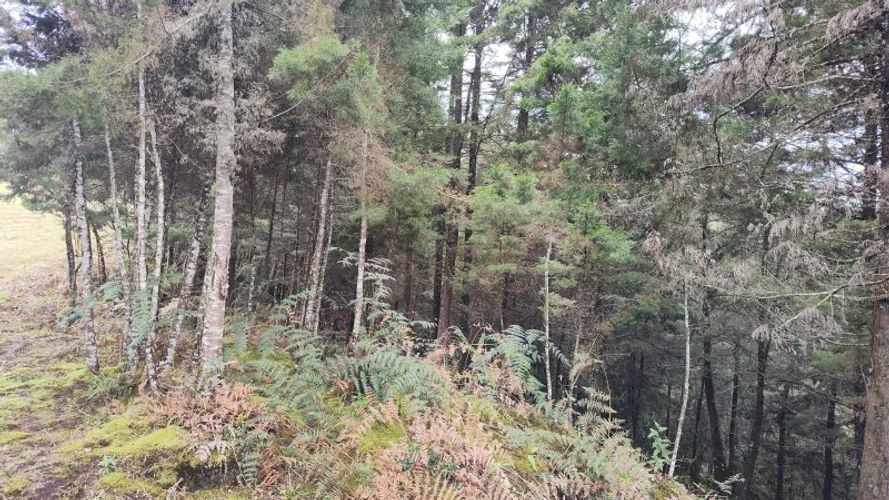 Lote en venta en La Brizuela, Guarne, 14700 m² · foto 6 de 10