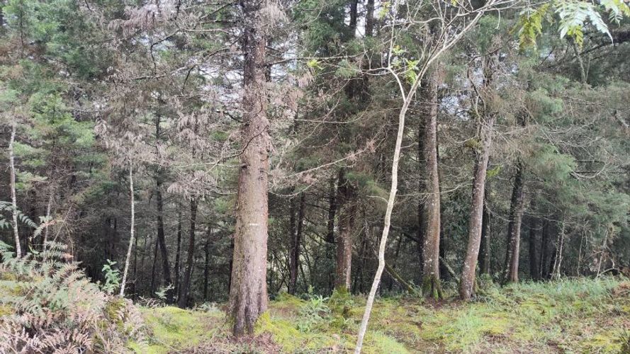 Lote en venta en La Brizuela, Guarne, 14700 m² · foto 7 de 10