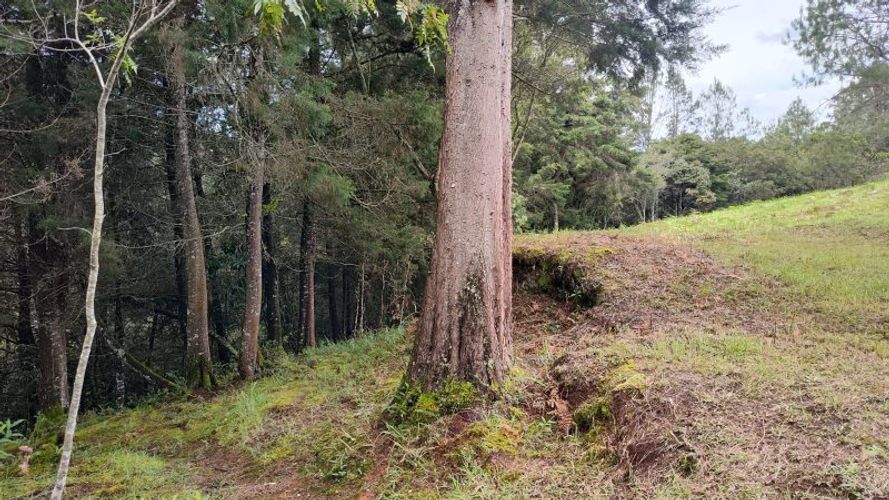 Lote en venta en La Brizuela, Guarne, 14700 m² · foto 8 de 10