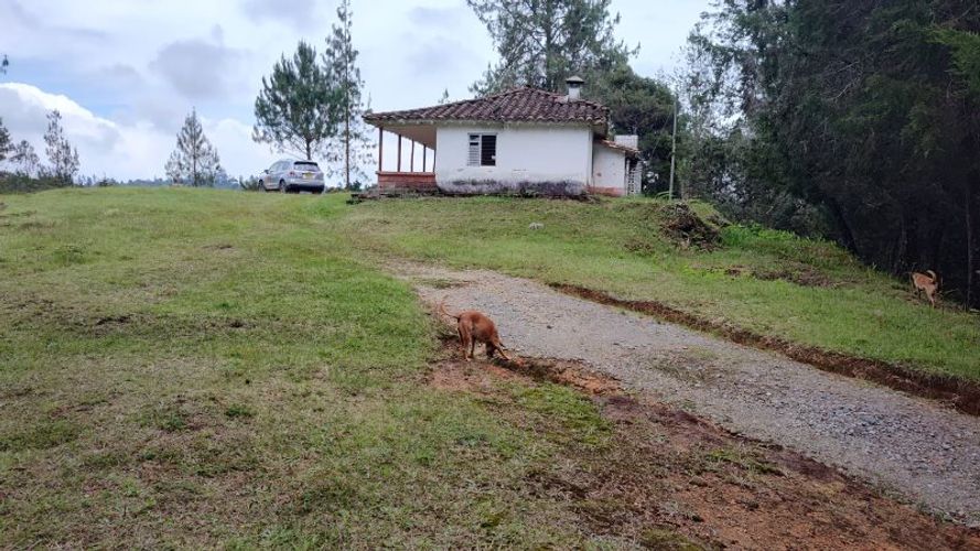 Lote en venta en La Brizuela, Guarne, 14700 m² · foto 10 de 10