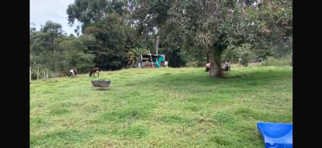 Lote en venta en El Porvenir, Rionegro, 100000 m² · foto 3 de 5