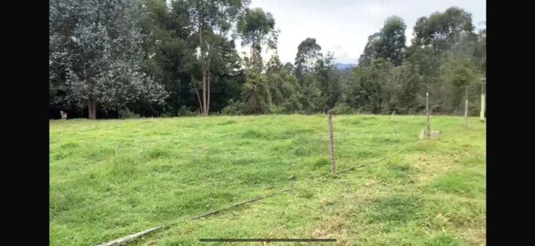 Lote en venta en El Porvenir, Rionegro, 100000 m² · foto 4 de 5