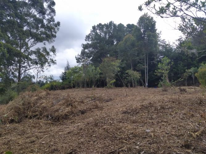Lote en venta en Los Pinos, Marinilla, 9258 m² · foto 6 de 6