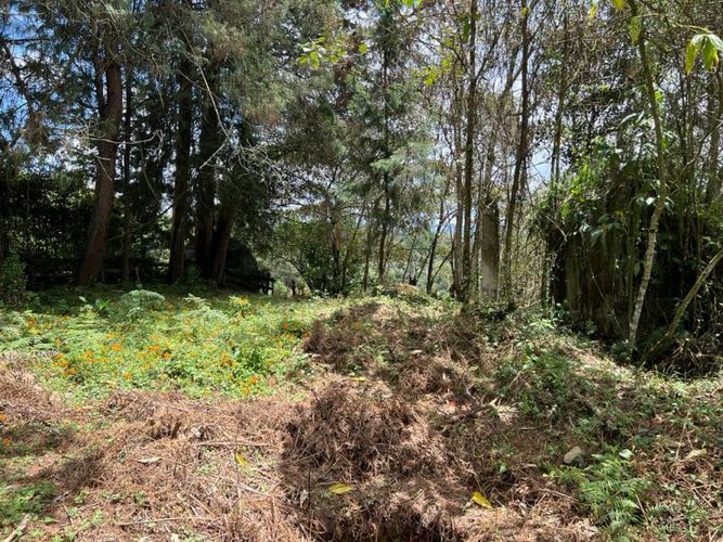 Lote en venta en Los Pinos, Marinilla, 7950 m² · foto 5 de 6