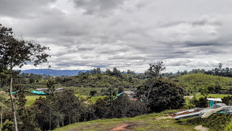 Lote en venta en El Carmen de Viboral, 6152 m² · foto 3 de 14