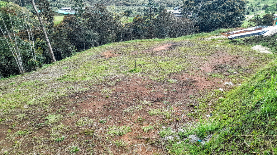 Lote en venta en El Carmen de Viboral, 6152 m² · foto 5 de 14