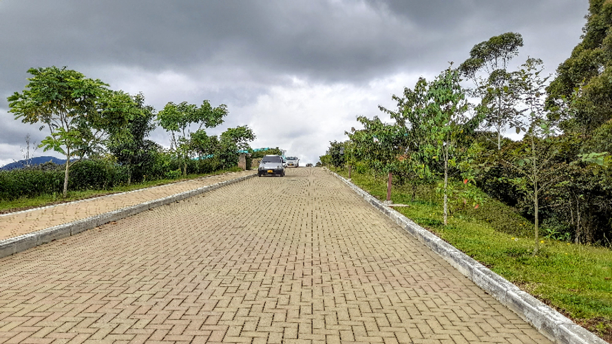 Lote en venta en El Carmen de Viboral, 6152 m² · foto 6 de 14