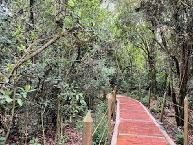 Casa de 3 alcobas en venta en Casa Blanca, Bogotá, 169 m² · foto 23 de 23