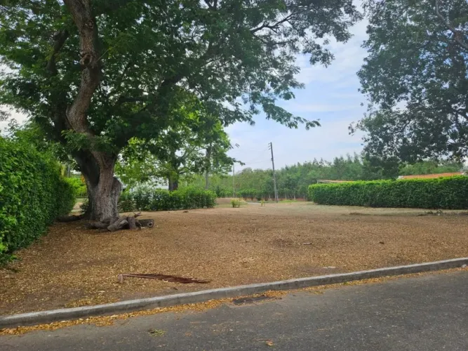 Lote en venta en Ricaurte, Ricaurte, 874 m² · foto 2 de 11