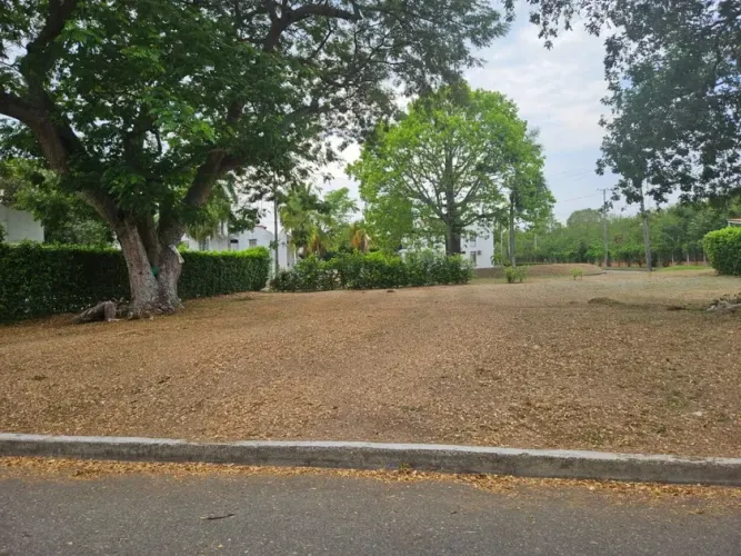 Lote en venta en Ricaurte, Ricaurte, 874 m² · foto 3 de 11