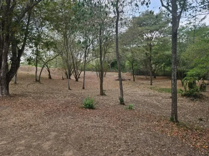 Lote en venta en Ricaurte, Ricaurte, 874 m² · foto 11 de 11