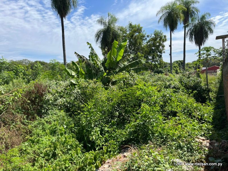 VENDO TERRENO 360 M2 - MARAMBURE, LUQUE — foto 2