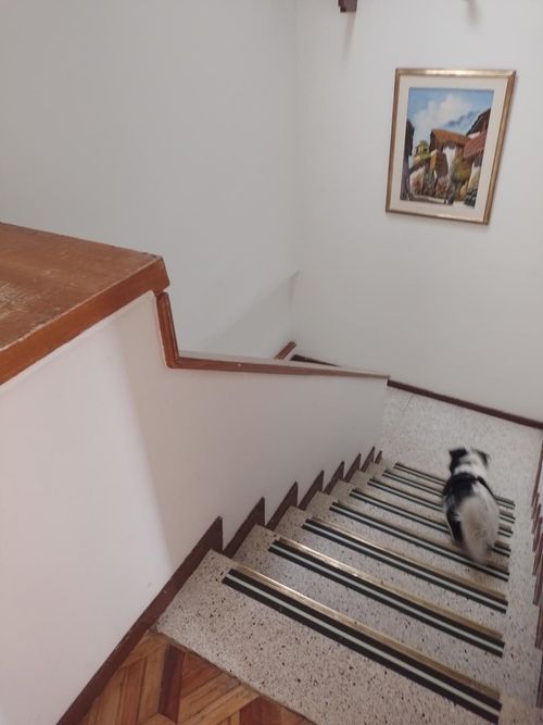 Casa de 4 alcobas en venta en Santa Ana, Bogotá, 250 m² · foto 14 de 15