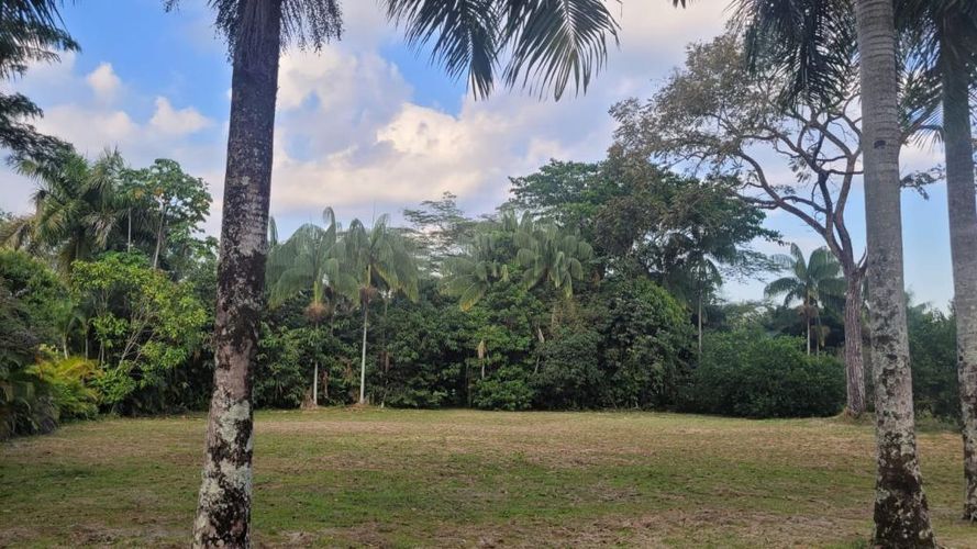 Lote en venta en Villavicencio, Villavicencio, 2050 m² · foto 10 de 10