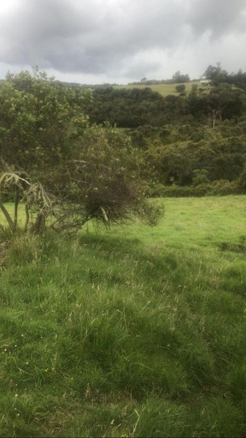 Lote en venta en Altos De Yerbabuena, Chía, 600 m² · foto 6 de 15