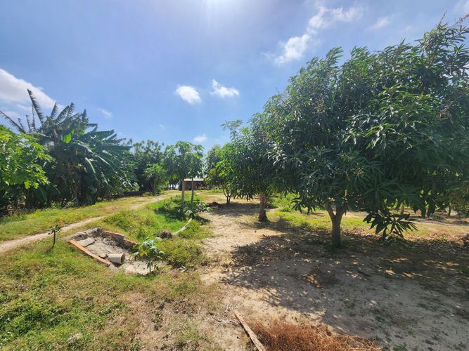 Lote en venta en Los Almendros, Barranquilla, 10028 m² · foto 4 de 6
