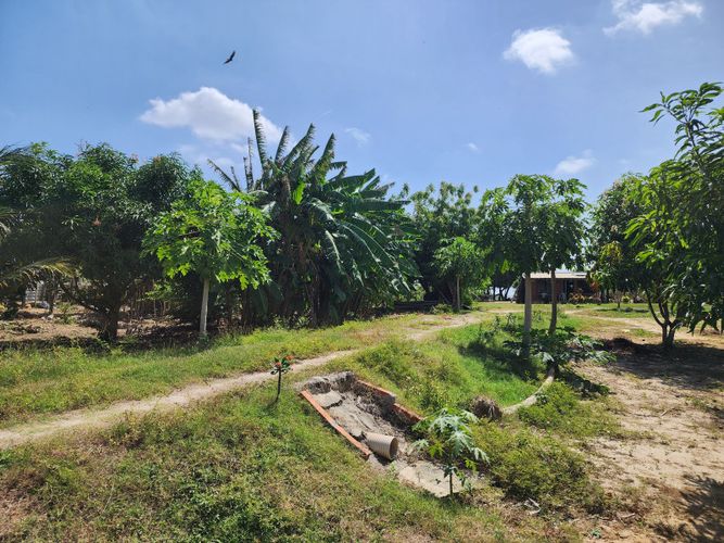 Lote en venta en Los Almendros, Barranquilla, 10028 m² · foto 5 de 6