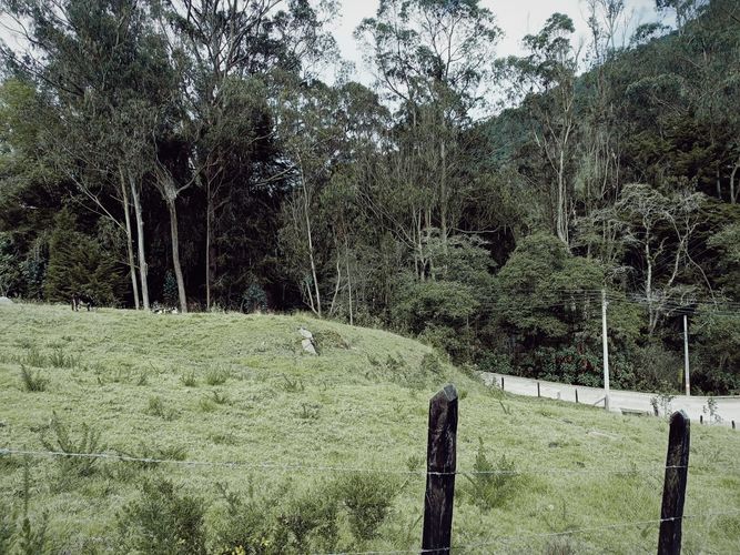 Lote en venta en El Libano, La Calera, 2500 m² · foto 5 de 5