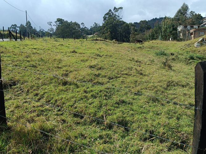 Lote en venta en El Libano, La Calera, 2500 m² · foto 4 de 5