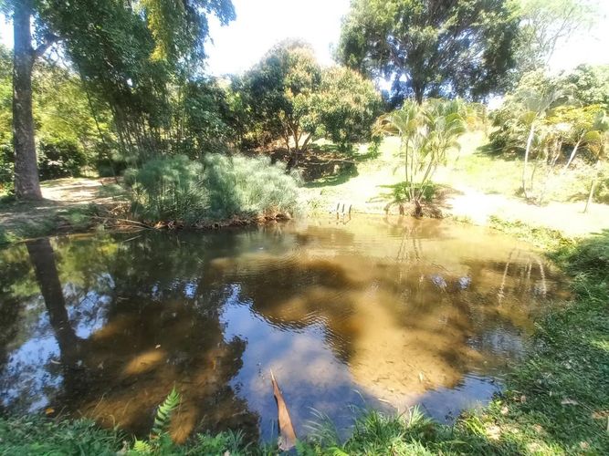 Finca en venta en Canadas Potreritos, Ibagué, 72 m² · foto 11 de 24