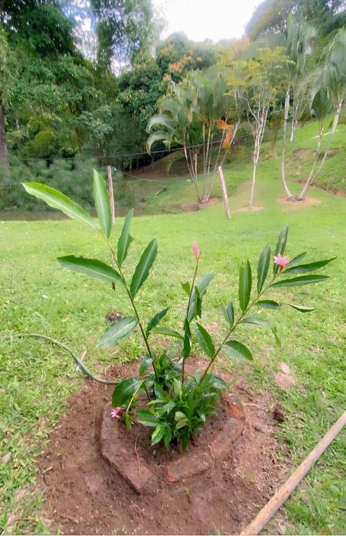 Finca en venta en Canadas Potreritos, Ibagué, 72 m² · foto 12 de 24