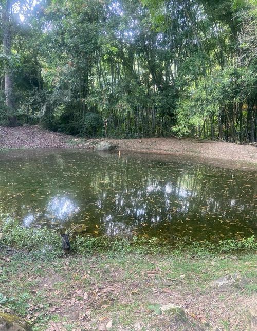 Finca en venta en Canadas Potreritos, Ibagué, 72 m² · foto 14 de 24