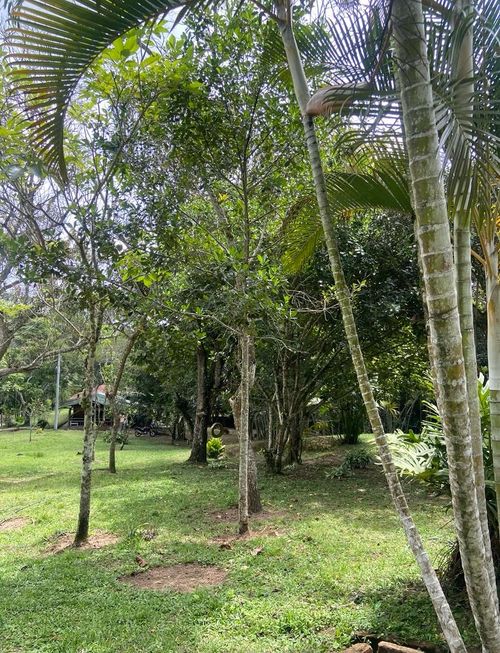 Finca en venta en Canadas Potreritos, Ibagué, 72 m² · foto 15 de 24