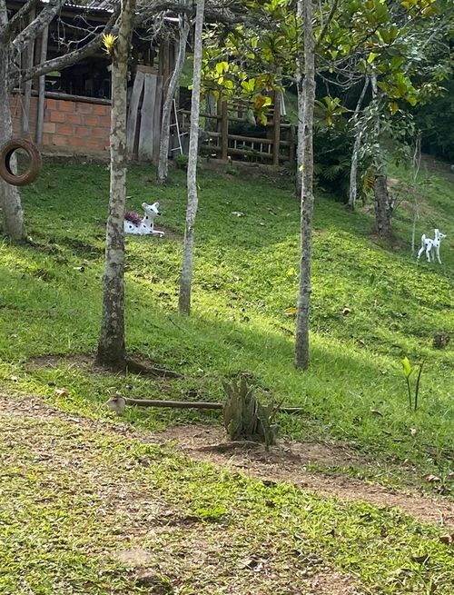 Finca en venta en Canadas Potreritos, Ibagué, 72 m² · foto 23 de 24
