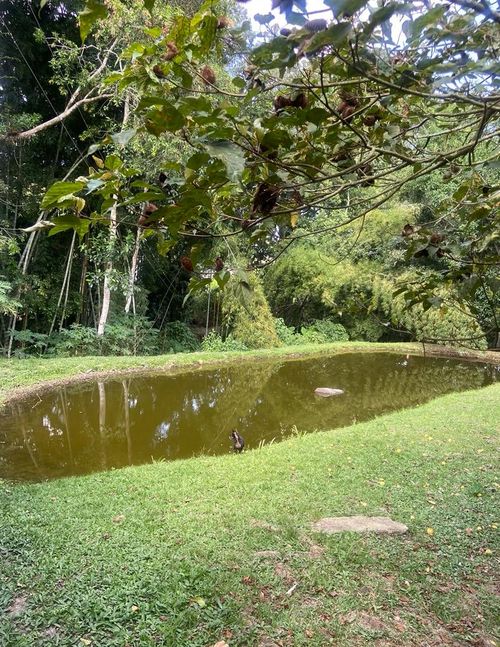 Finca en venta en Canadas Potreritos, Ibagué, 72 m² · foto 24 de 24