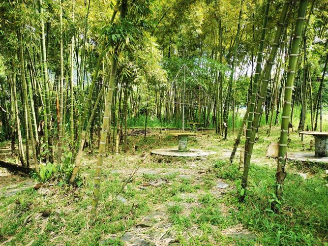 Finca en venta en Boqueron, Ibagué, 379 m² · foto 10 de 24