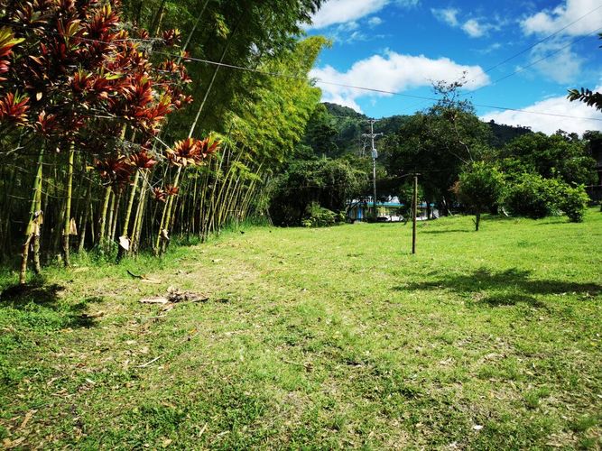 Finca en venta en Boqueron, Ibagué, 379 m² · foto 11 de 24