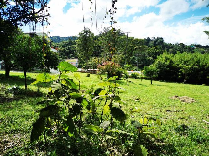 Finca en venta en Boqueron, Ibagué, 379 m² · foto 12 de 24