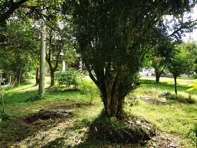 Finca en venta en Boqueron, Ibagué, 379 m² · foto 13 de 24