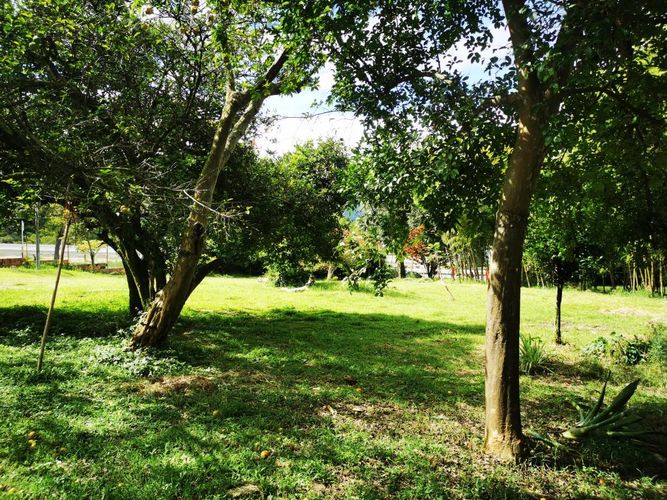Finca en venta en Boqueron, Ibagué, 379 m² · foto 15 de 24