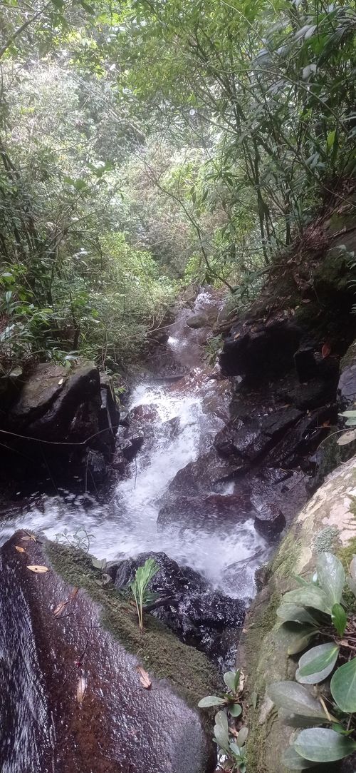 Lote en venta en Pance Alto, Cali, 5000 m² · foto 3 de 6