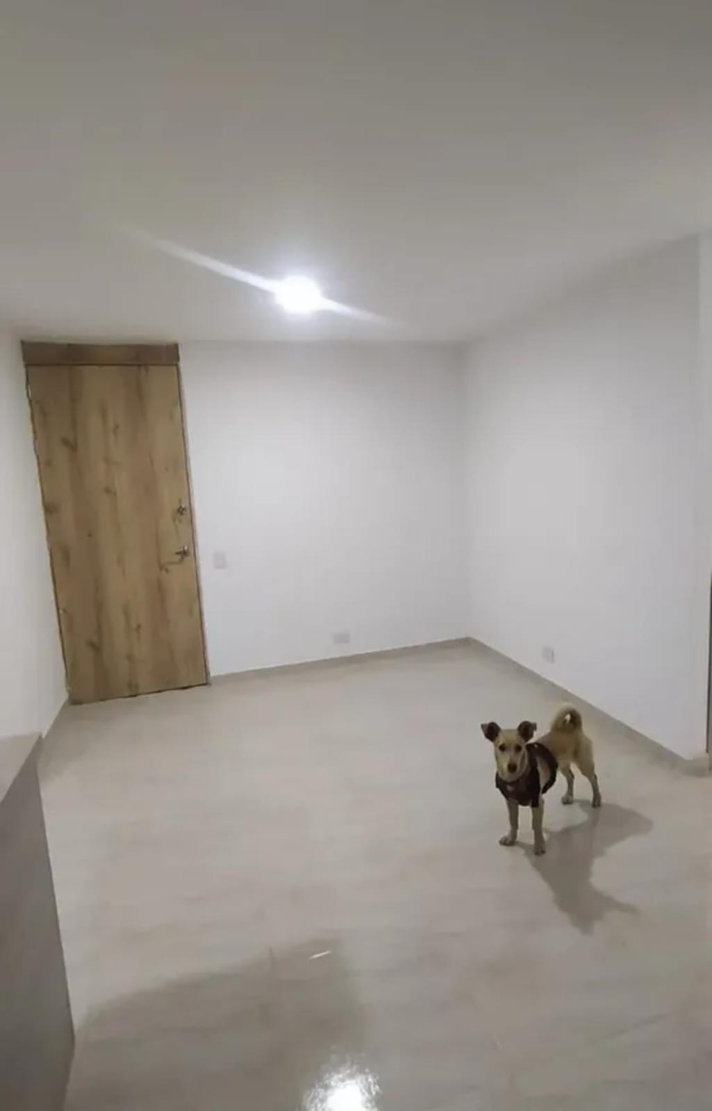 Apartamento en venta en Triana, La Estrella · foto 8 de 24