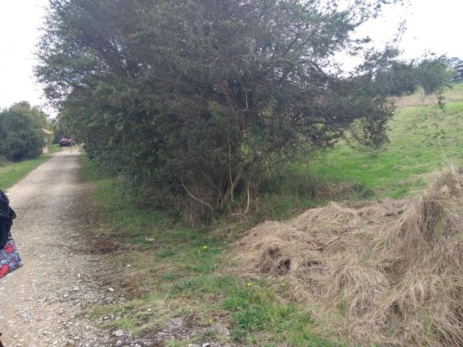 Lote en venta en Centro, Sopó, 2500 m² · foto 4 de 17