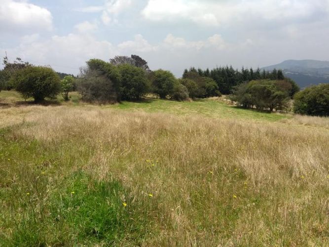 Lote en venta en Centro, Sopó, 2500 m² · foto 6 de 17