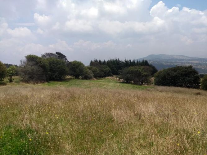 Lote en venta en Centro, Sopó, 2500 m² · foto 8 de 17