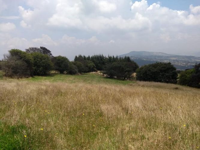 Lote en venta en Centro, Sopó, 2500 m² · foto 9 de 17