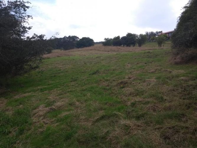 Lote en venta en Centro, Sopó, 2500 m² · foto 11 de 17