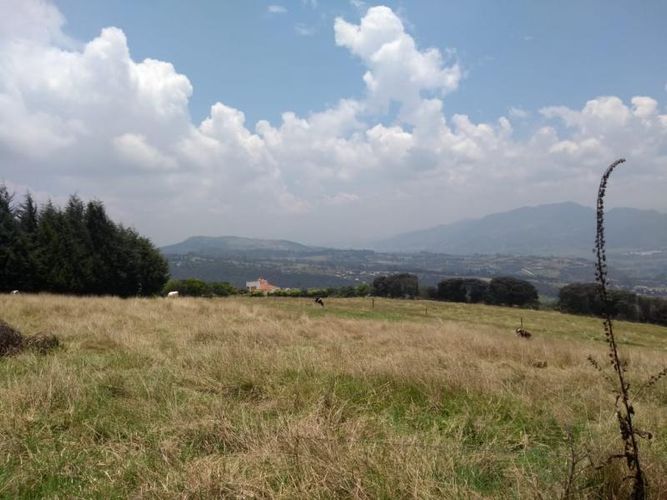 Lote en venta en Centro, Sopó, 2500 m² · foto 13 de 17