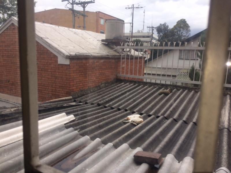 Casa en venta en Pasadena, Bogotá · foto 3 de 15