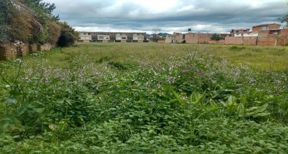 Lote en venta en Vda Canelon, Cajicá, 800 m² · foto 10 de 11
