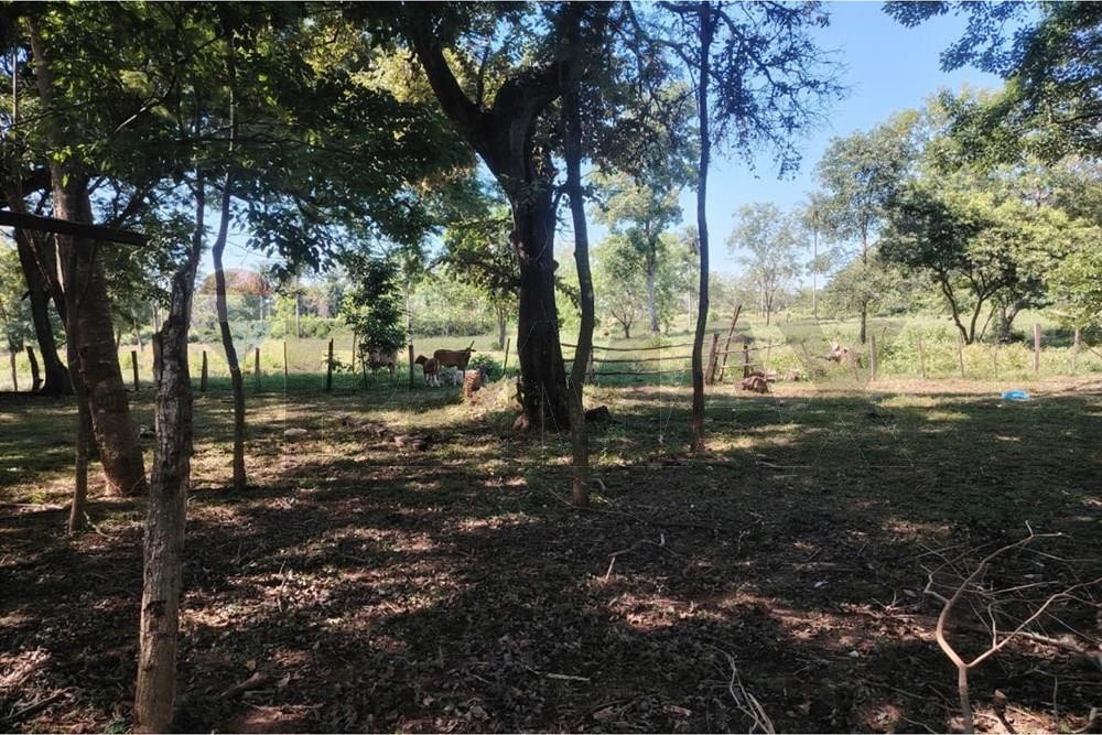 Venta — foto 2