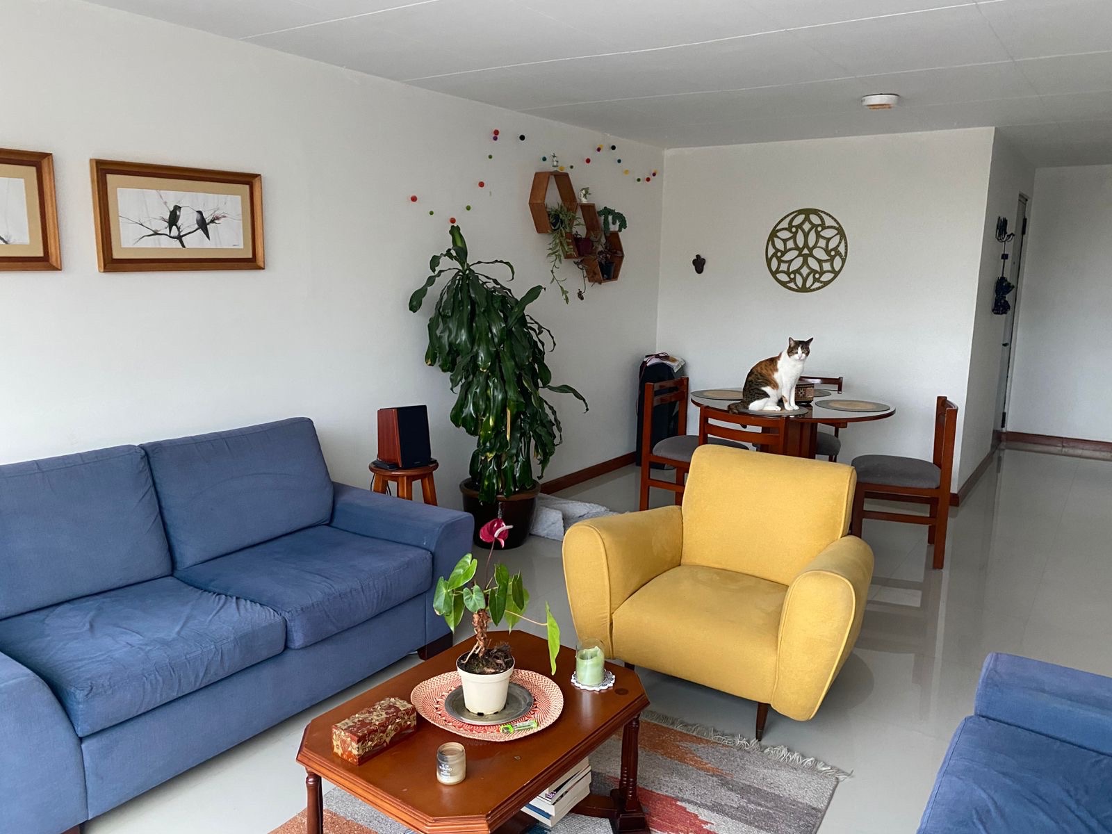 Apartamento en venta en Galerias, Bogotá · foto 6 de 18